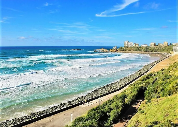 Appartement Lumineux 3Etoiles, Quartier Calme, Proche Commerces Et Plage - Fr-1-3-601 * Biarritz